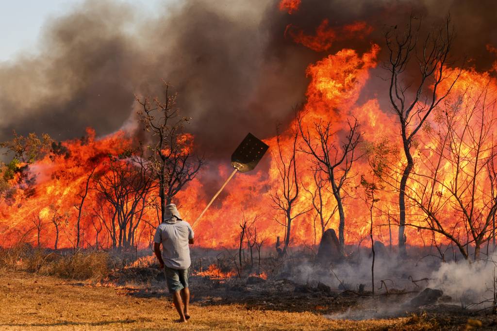 53997848049_fea2f23178_o.jpg Parque Nacional de Brasília: perdas de flora, fauna e turismo por incêndios