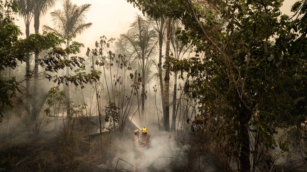 EM CHAMAS - Golpe na Amazônia: queimadas se espalharam no país, em nefasto retrato da ação humana