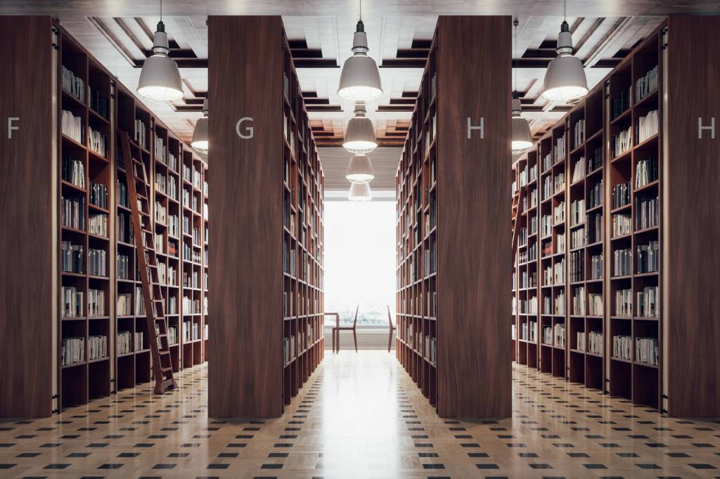 Modern Library Interior ÀS MOSCAS - Biblioteca nos EUA: lá, mais da metade das pessoas não lê um único livro