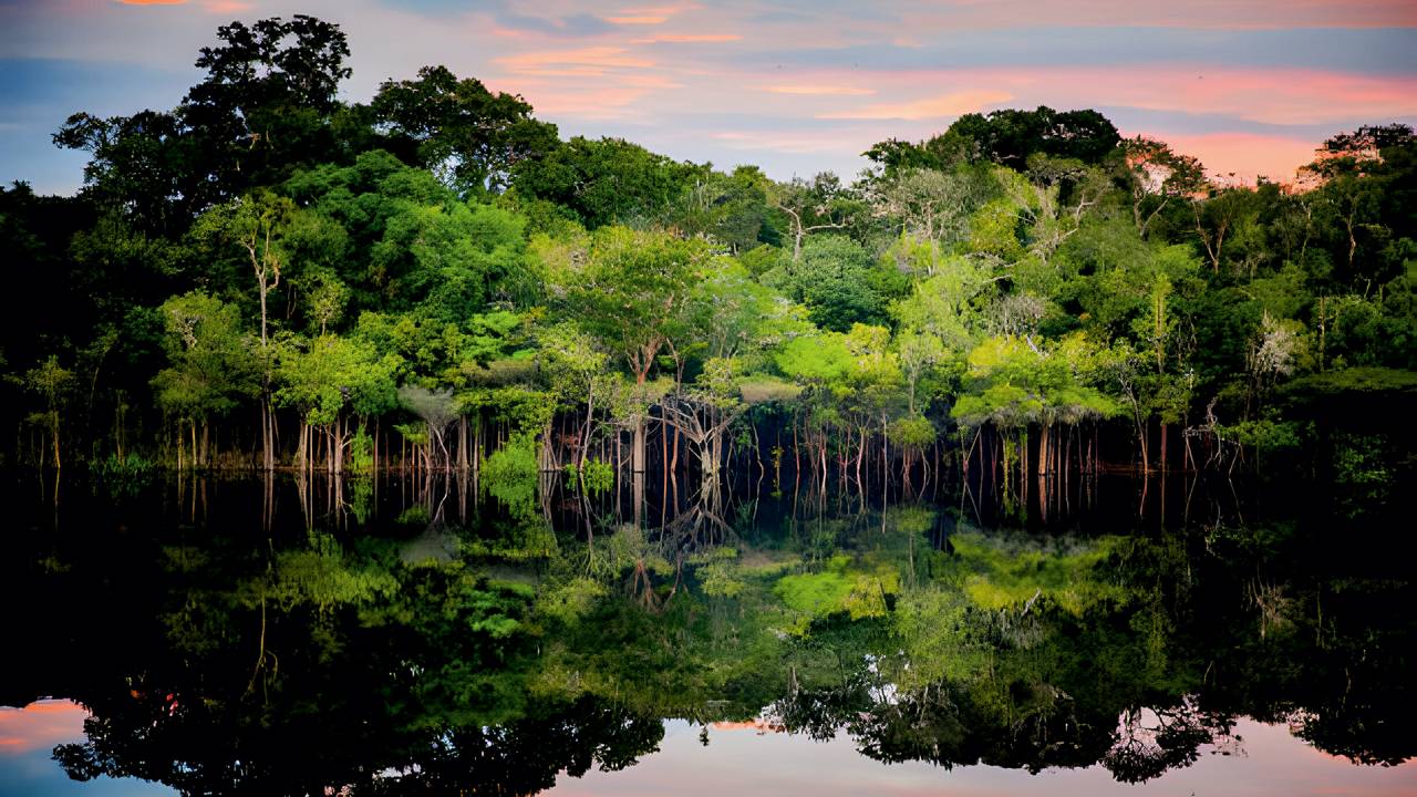 Amazônia: a COP30 colocará o Brasil no centro da agenda climática