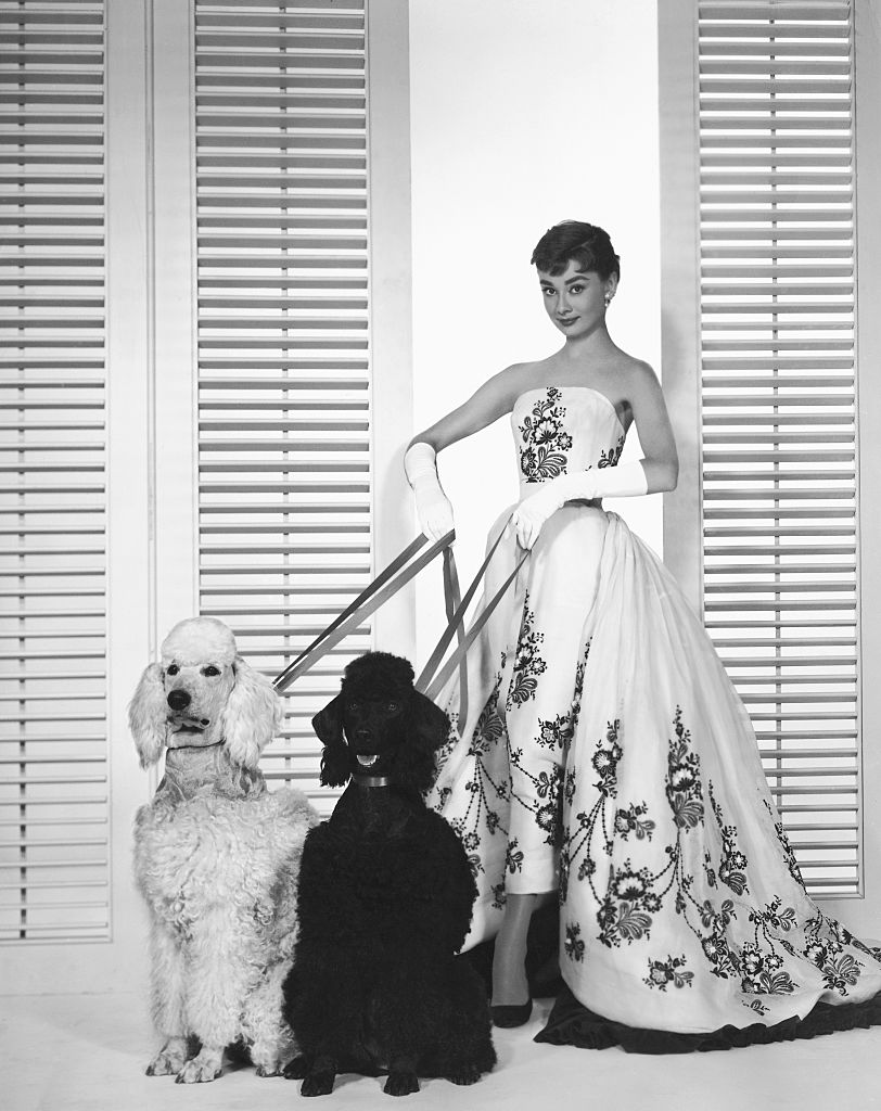 Audrey Hepburn with Poodles from Sabrina Audrey Hepburn em