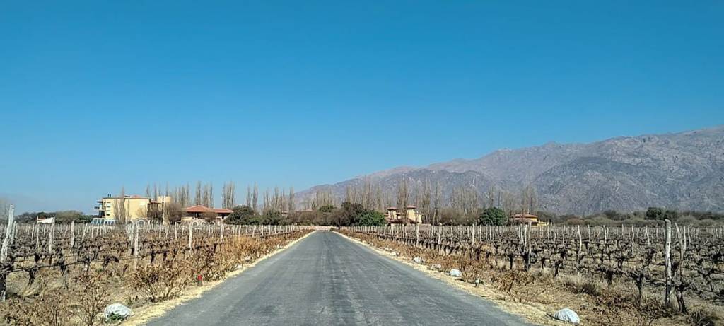 Retrospectiva Pé na Estrada: nove aventuras automotivas de 2024