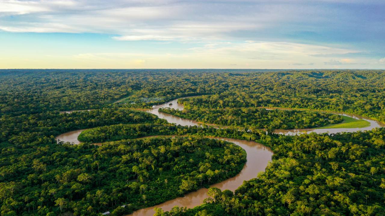 O Floresta Viva apoia projetos de restauração ecológica com espécies nativas e sistemas agroflorestais em todos os biomas brasileiros, além de atuar na estrutura técnica e no fortalecimento da gestão da cadeia produtiva do setor de restauração