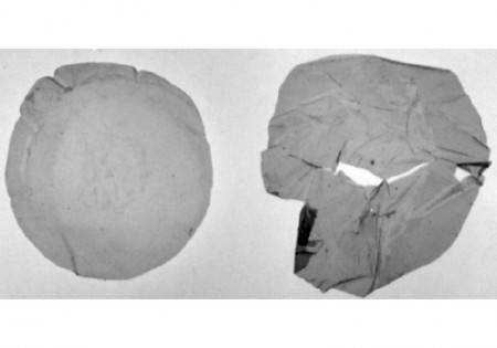 Brasileiros encontram bactéria capaz de transformar lixo plástico em bioplástico