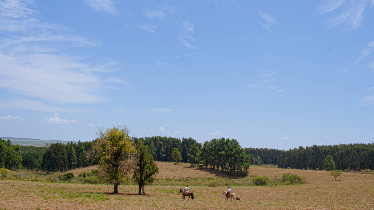 Vastas planícies do Pampa Gaúcho compõem o cenário da Campanha Gaúcha