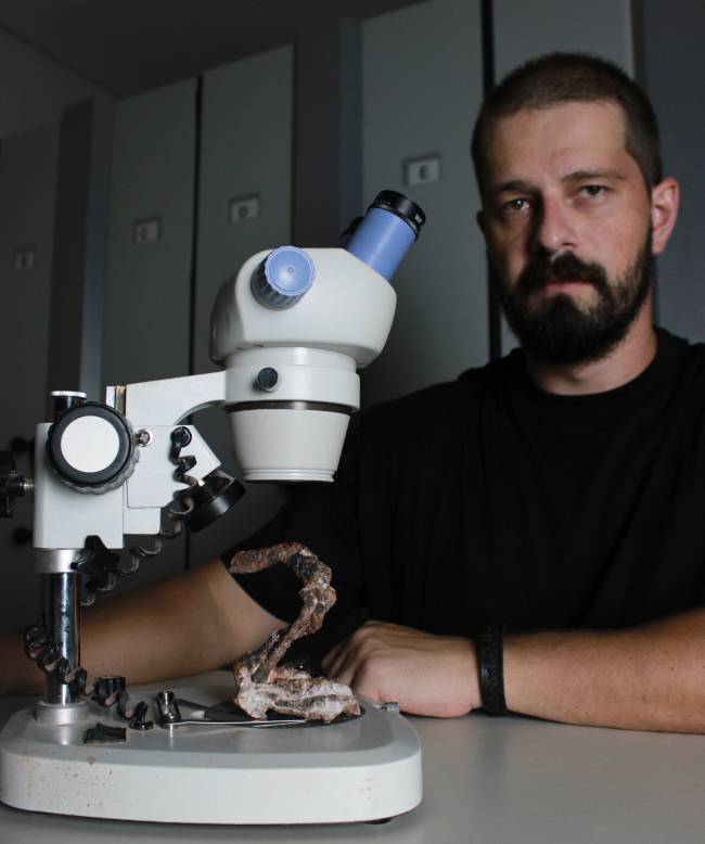 Paleontólogo com fóssil de Retymaijychampsa (por Janaína Brand Dillmann) 4 Rodrigo Temp Müller, paleontólogo da Universidade Federal de Santa Maria, com fóssil da nova espécie de réptil de 237 milhões de anos -