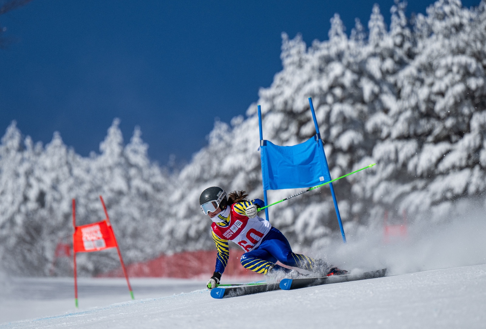 Alice Padilha na prova do slalom gigante em Gangwon 2024 - Foto: International Olympic Committee / Jonathan Nackstrand