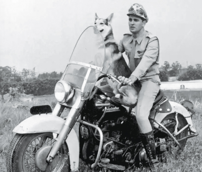 img-guardiao-das-rodovias-cprv-copy.jpg HERÓI - Carlos Miranda em O Vigilante Rodoviário: com a moto e Lobo