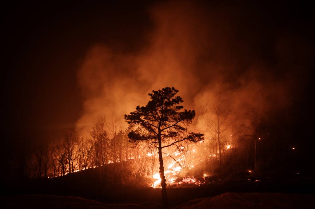 Incêndios florestais na Coreia do Sul matam ao menos 24; milhares deixam suas casas