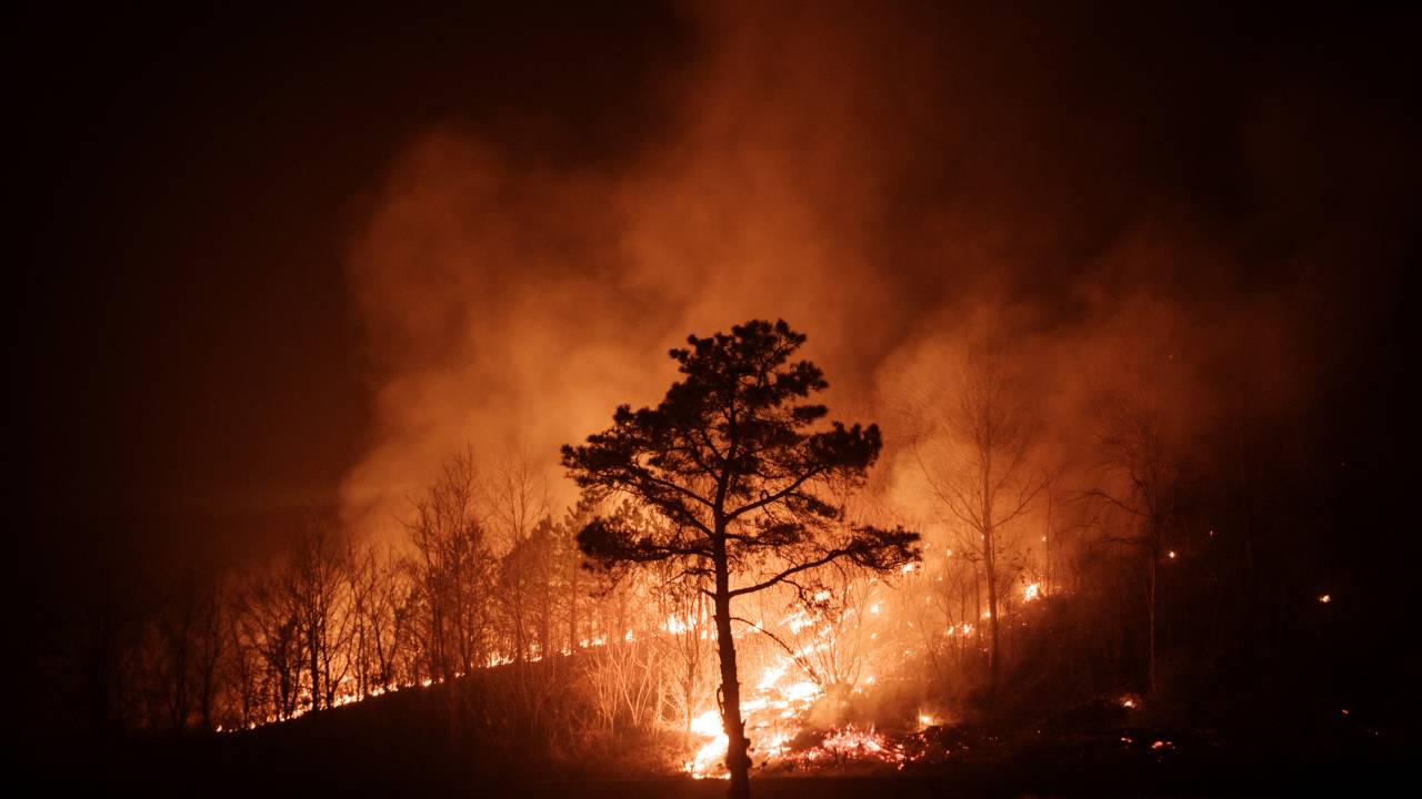 Incêndio florestal na cidade de Andong, na Coreia do Sul. 26/03/2025
