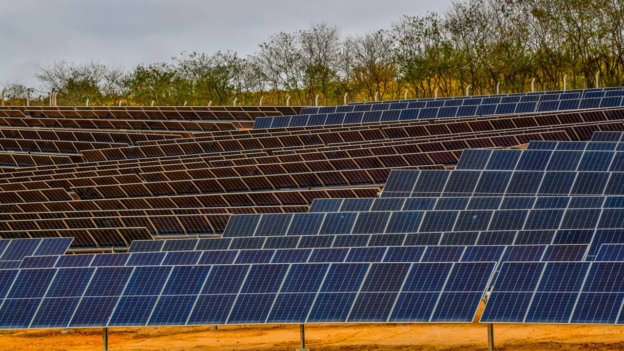 Fazenda solar: a Bow-e deve dobrar de tamanho neste ano com foco em pequenos e médios consumidores de energia
