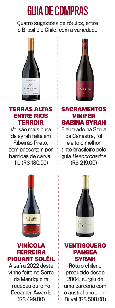 arte Vinhos