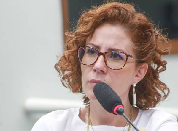 A deputada federal Carla Zambelli (PL-SP) durante sessão na Câmara dos Deputados