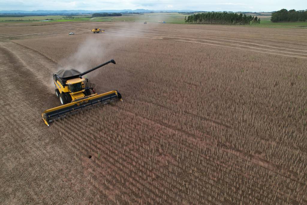 Preços agropecuários derrubam IGP-DI e ajudam a conter pressão inflacionária