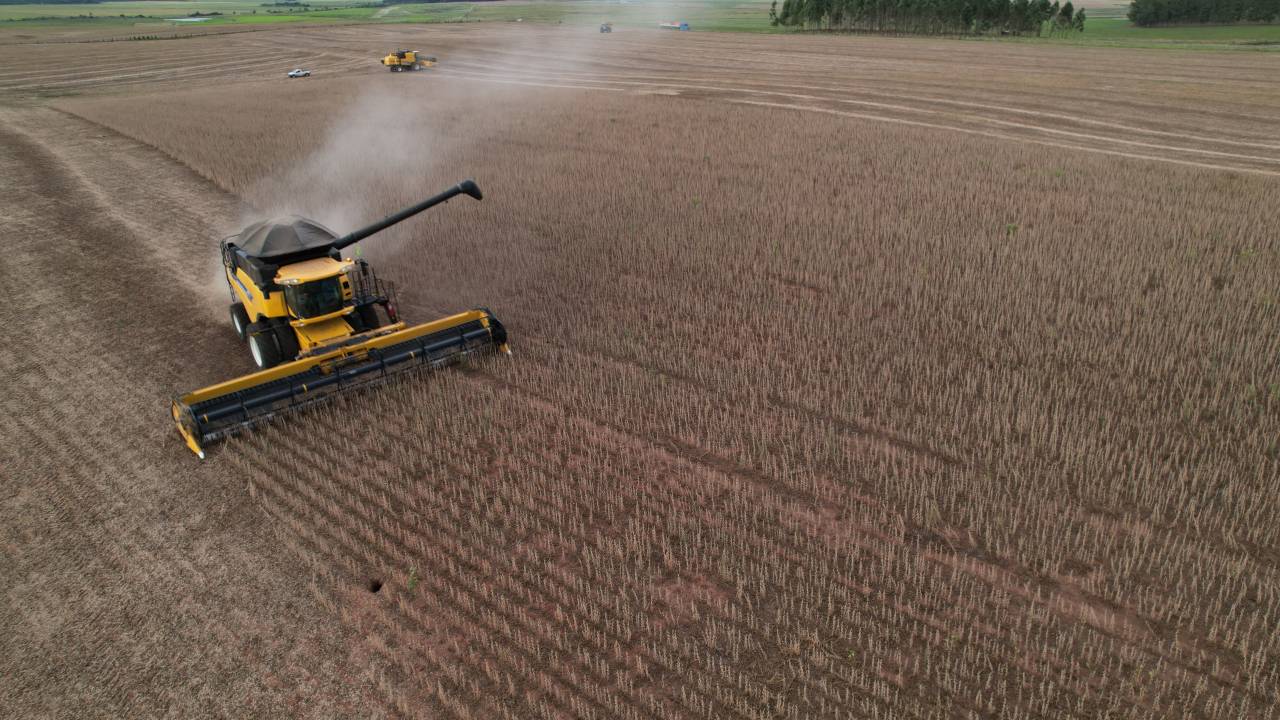 Plantação de soja em Santa Maria (RS)