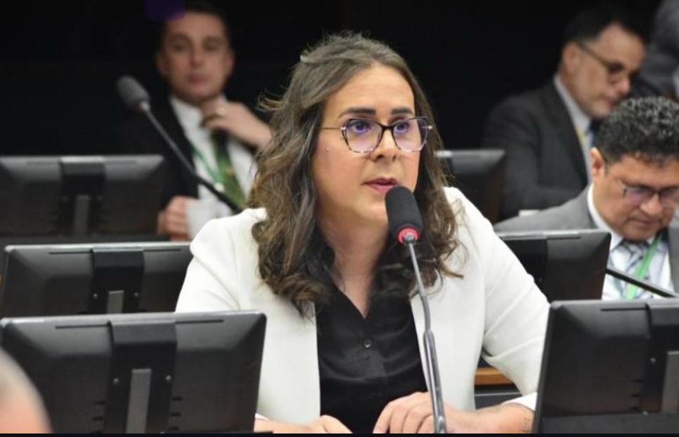 Duda Salabert (PDT-MG), deputada federal