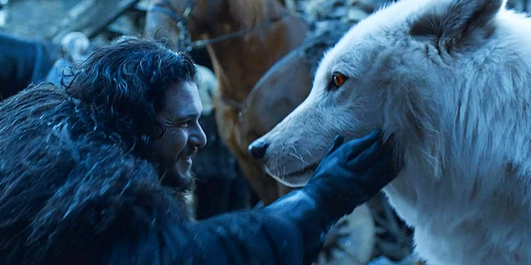 Lobo-terrível: como Game of Thrones mostra animal revivido pela ciência