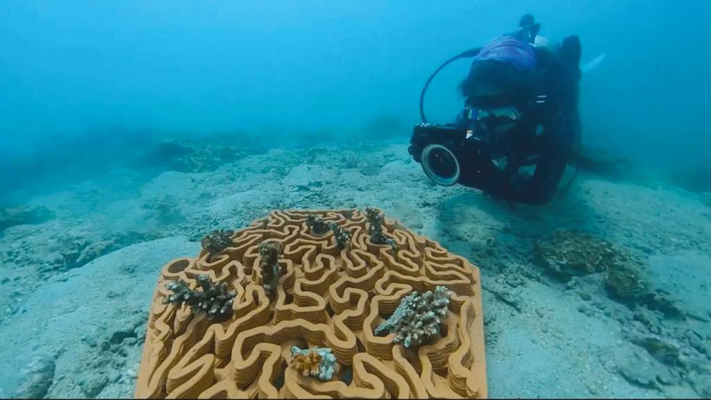 2—1734604426683.jpeg JARDINAGEM - Berços construídos por impressoras 3D: mapeamento do leito marítimo e prevenção de perdas