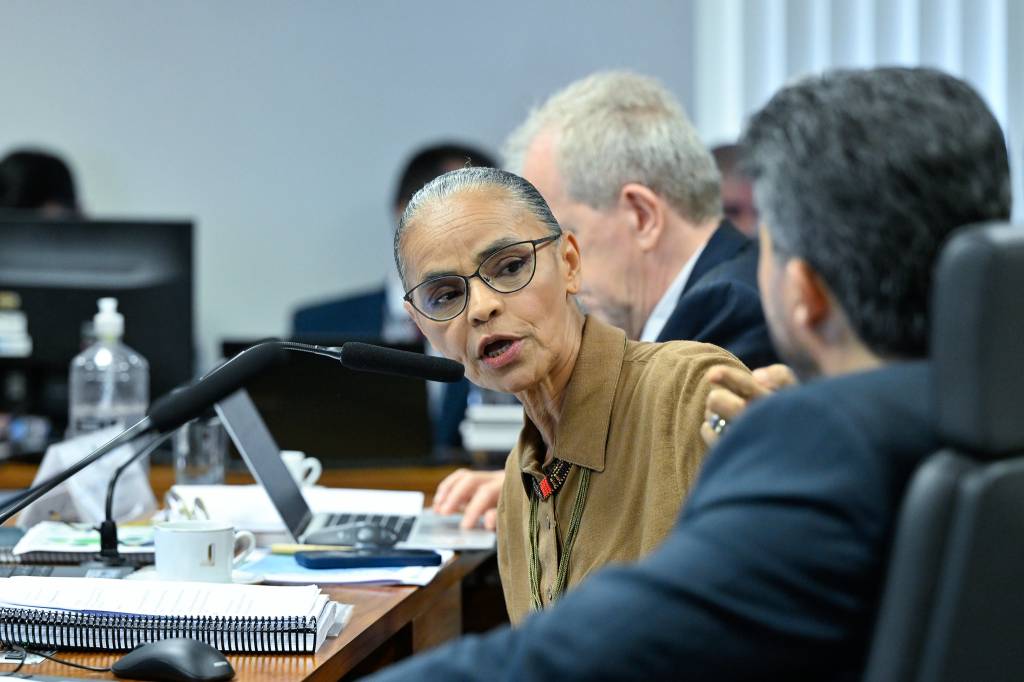 Episódio com Marina mostra o tamanho da misoginia latente no Congresso