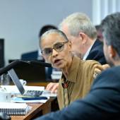 A resposta de Marina ao senador que disse para ela 'pôr-se no seu lugar'
