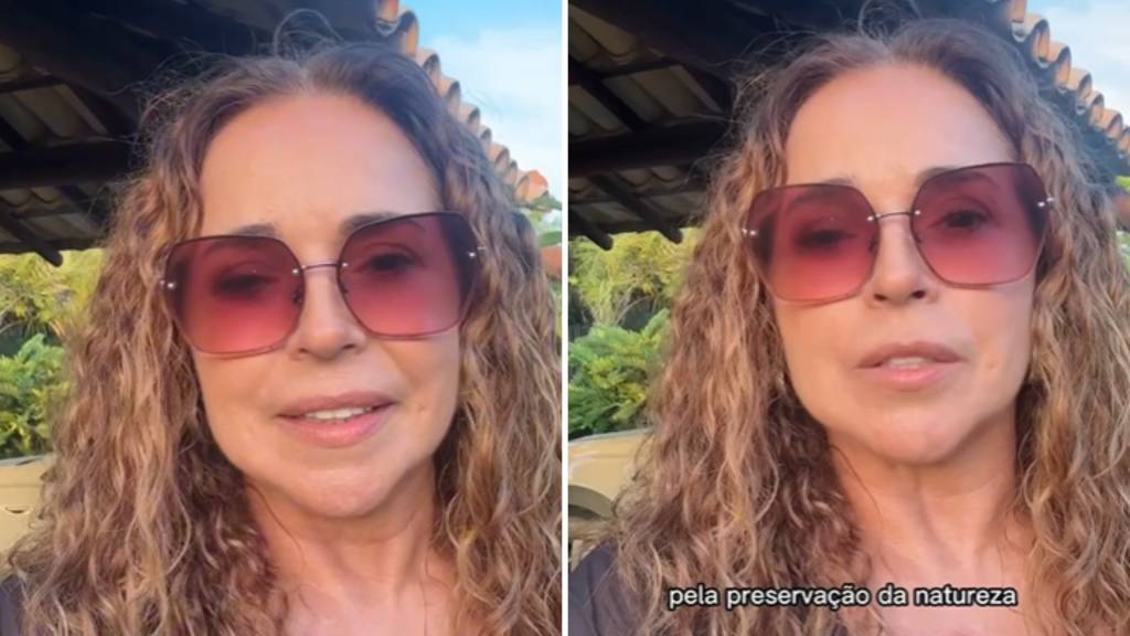 Daniela Mercury protesta contra leilão de áreas verdes em Salvador