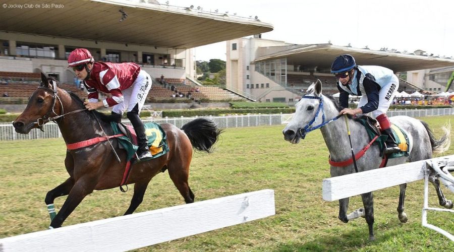 Tribunal derruba lei de São Paulo que proibia apostas em animais