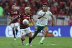 Flamengo v Palmeiras – Brasileirao 2024