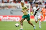 Vasco da Gama v Palmeiras – Brasileirao 2024