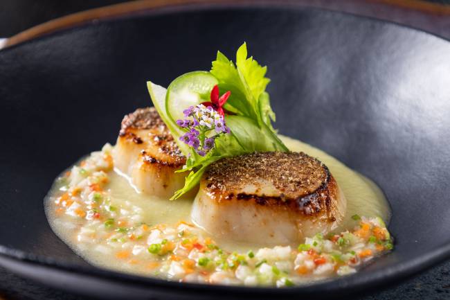 Vieira grelhada,purê de maçã e aipo,vinagrete de wasabi fresco (3) Vieira grelhada, purê de maçã e aipo, vinagrete de wasabi fresco