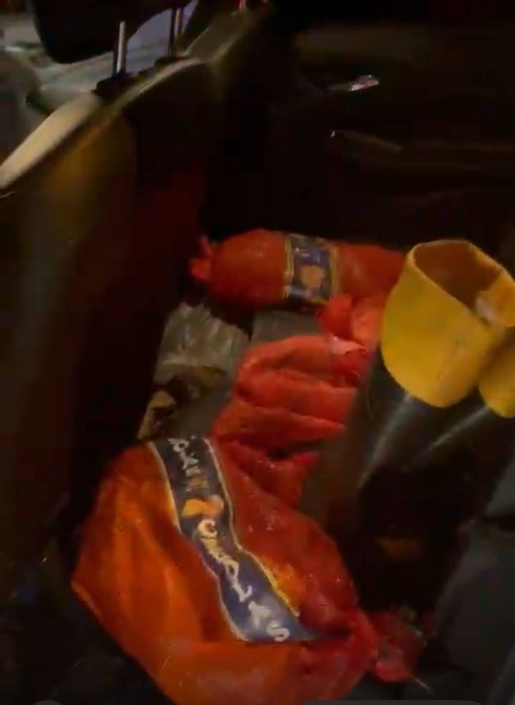 Vídeo: mais de cem aves silvestres presas em sacolas de cebolas são resgatadas no Rio