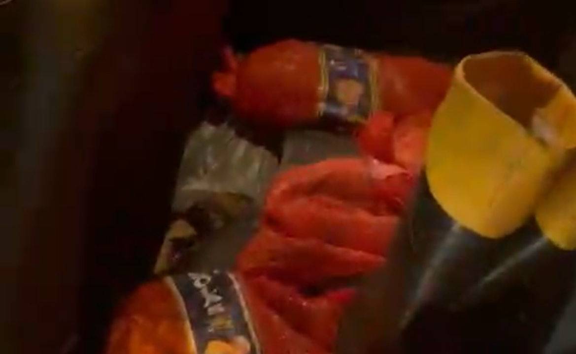 Aves silvestres em sacolas de cebolas: elas seriam vendidas em feiras, como a de Duque de Caxias