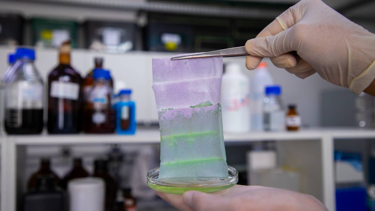 EMBALAGEM INTELIGENTE - Nanotecnologia: produto indica se alimento está estragado