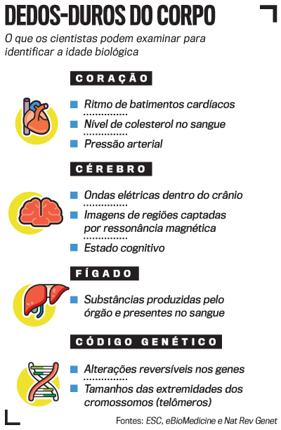 artes-idade-real-digital-2946 arte idade real