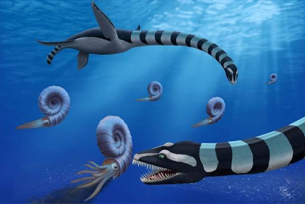 Representação artística mostra dois répteis marinhos da espécie Traskasaura sandrae caçando moluscos no oceano há 85 milhões de anos.