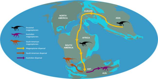Potential dispersal routes for megaraptorans during the Middle Jurassic–Early Cretaceous (approx. 143 Ma). The dispersal routes were devised using the ancestral area reconstructions in figure 1 and plotting them on a base map redrawn from Scotese [26]. Here, megaraptoran populations disperse via the most-connected regions of geographical areas (i.e. geodispersal). Abbreviations: ANT.: Antarctica; AUS.: Australia. Silhouettes by ‘the funk monk’ and ‘jagged fang designs’ and available from Phylopic.org under a Creative Commons license.
