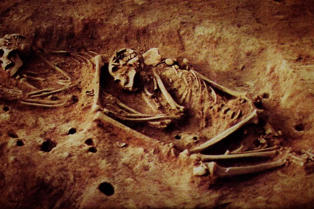 Esqueletos de dois indivíduos caçadores-coletores encontrados no sítio arqueológico de Checua, ao norte de Bogotá, ajudaram a revelar os traços genéticos de uma população misteriosa.