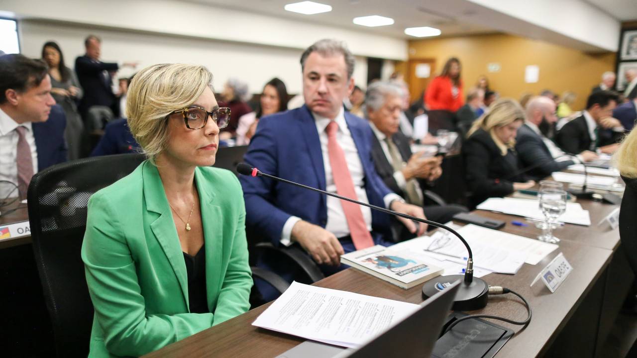 A conselheira federal Shynaide Mafra Holanda Maia foi relatora da proposta que proibiu a inscrição de condenados por racismo na OAB