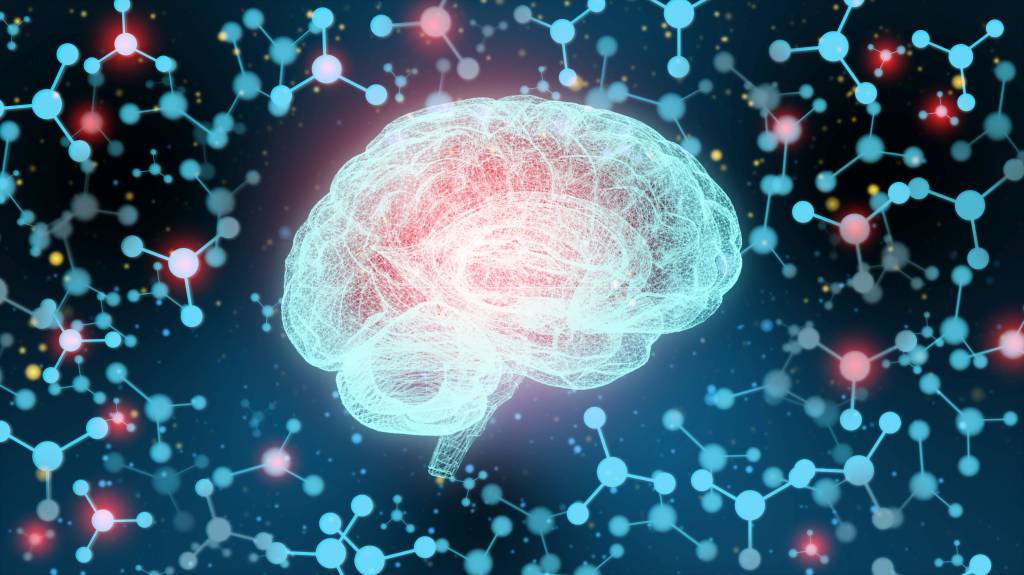 Como o cérebro separa realidade e fantasia? Estudo revela resposta inédita