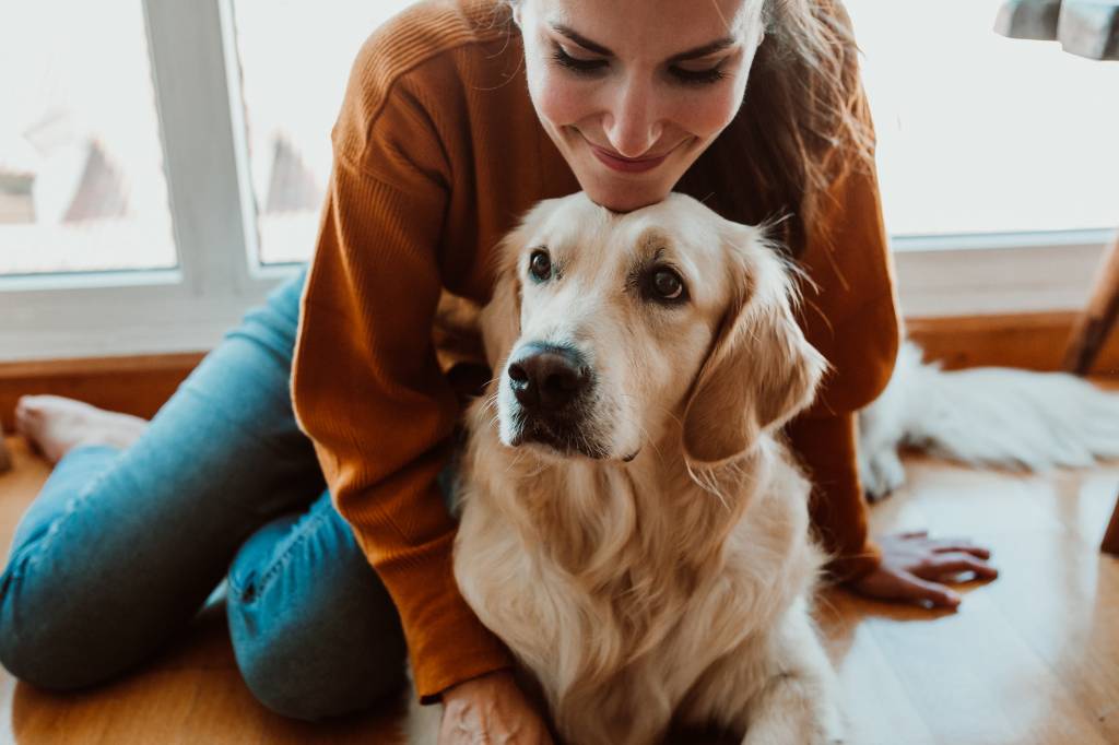 Cães e seus donos tendem a se parecer até na personalidade, mostra estudo