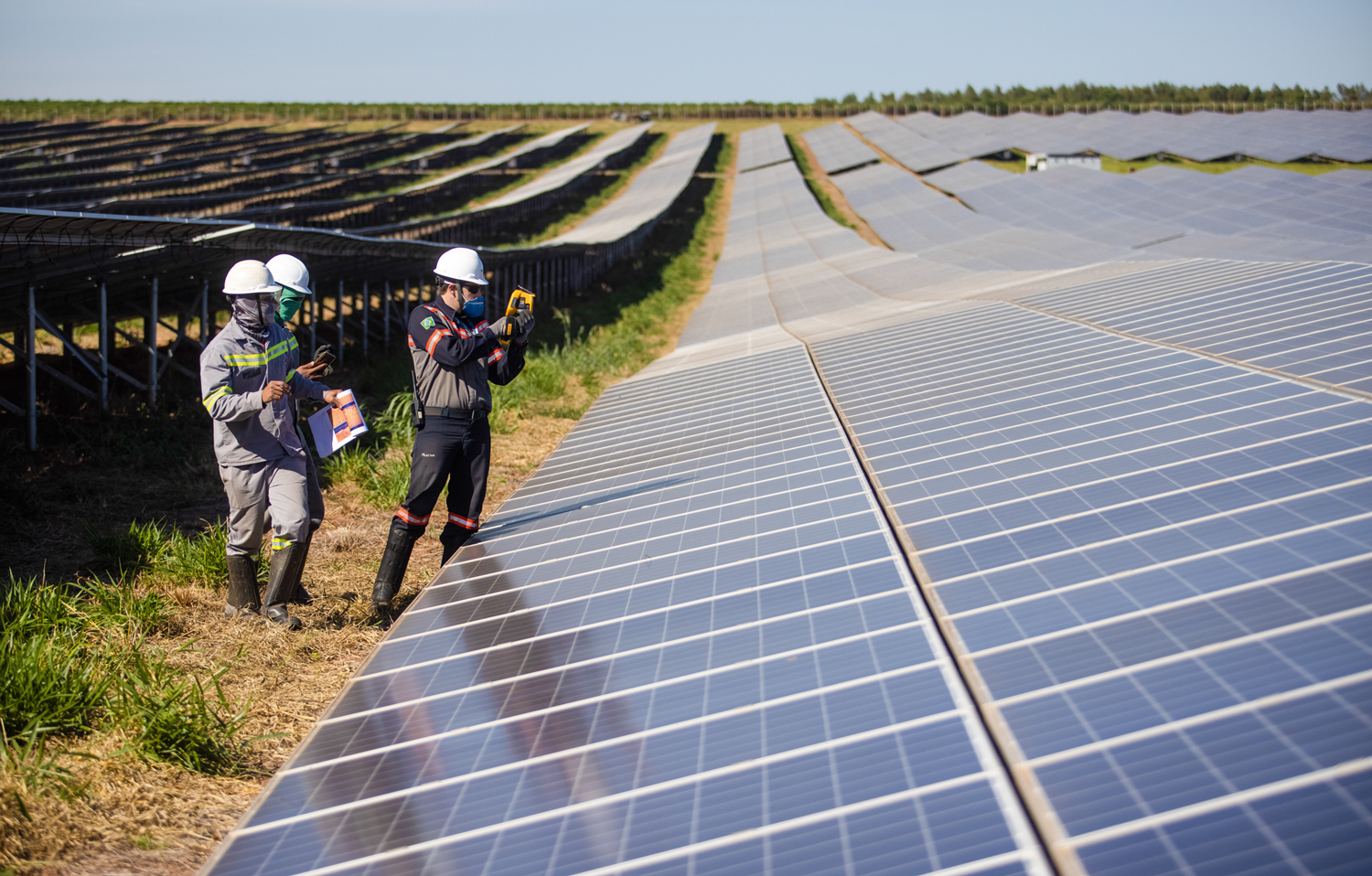 SUSTENTÁVEL - Fazenda solar: mercado de energia renovável pode ser beneficiado