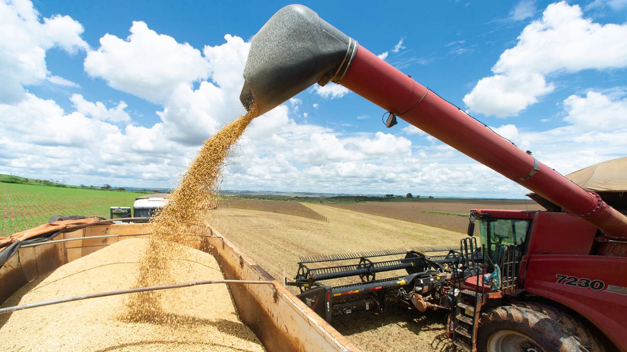 Colheita de soja: em 2025, a produção brasileira de grãos atingirá o volume de 336 milhões de toneladas