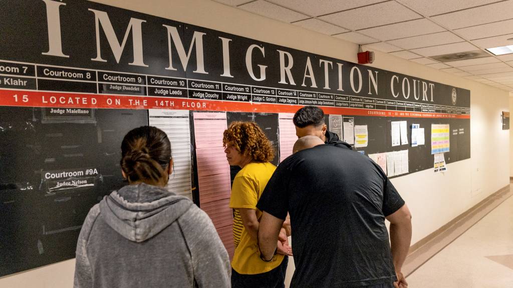 ICE Continues To Make Arrests At New York City Immigration Court CAÇADA - Detenções: implementação da política radical