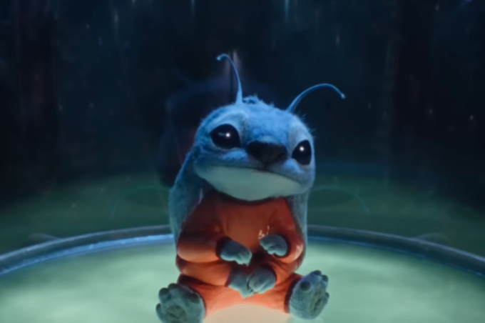 Stitch