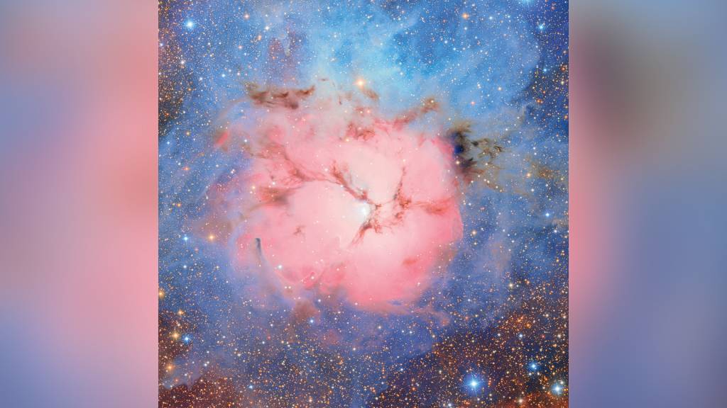 O sonho da noite estrelada