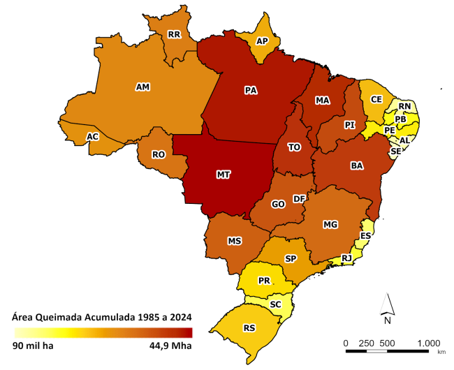 unnamed (1) Área queimada acumulada (em hectares) por estado entre 1985 e 2024