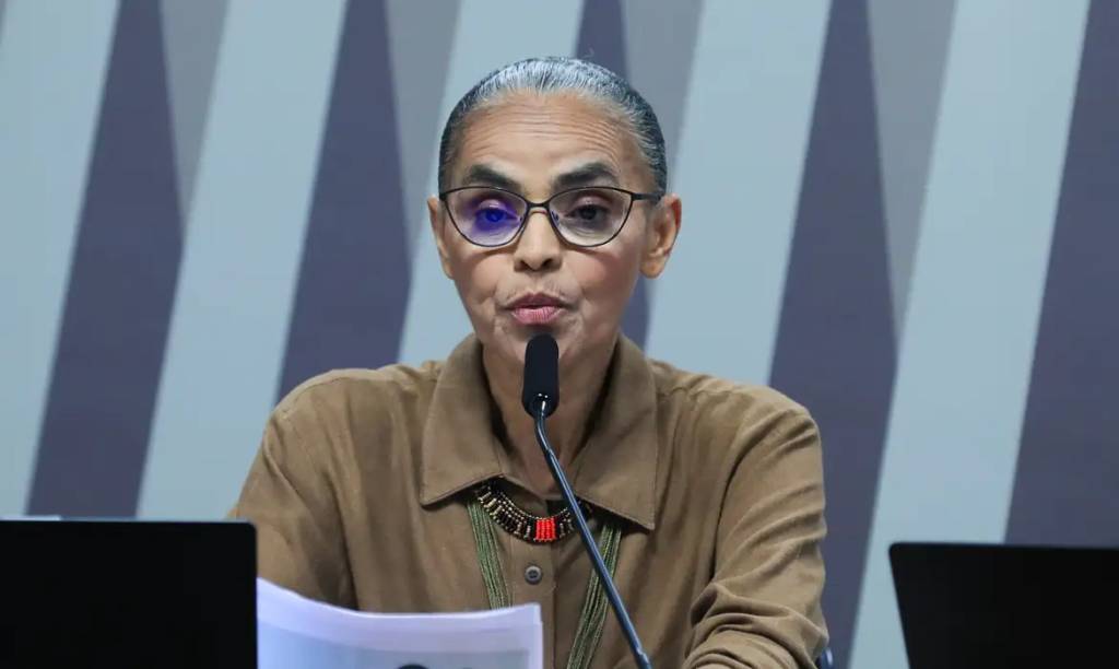 Licenciamento ambiental: vetos irão garantir desmatamento zero, diz Marina