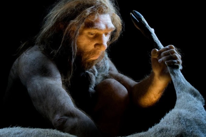 Neandertais extraíam gordura de ossos 100 mil anos antes de humanos atuais