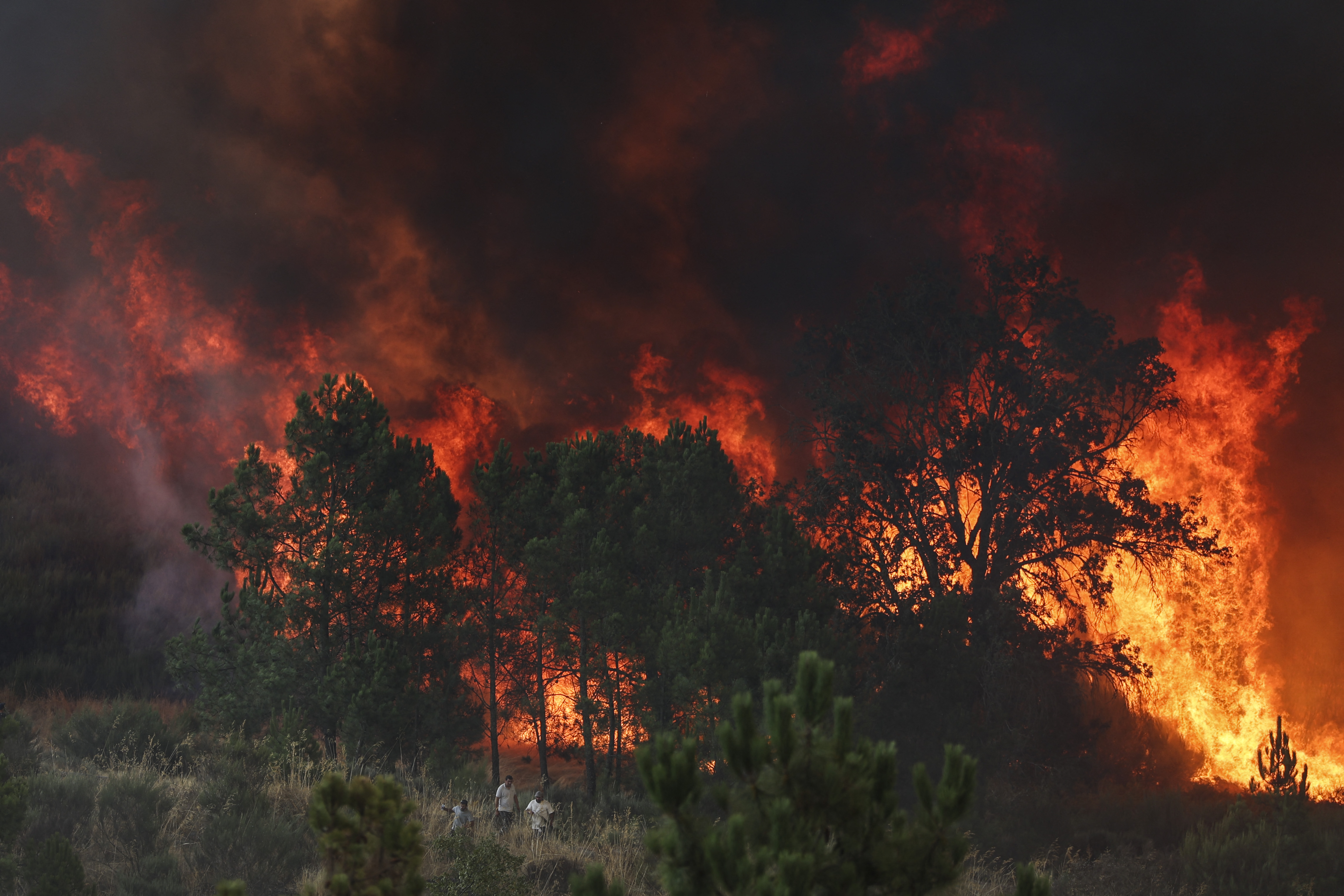 A wildfire approaches Casal do Monte village in Trancoso, on August 13, 2025.