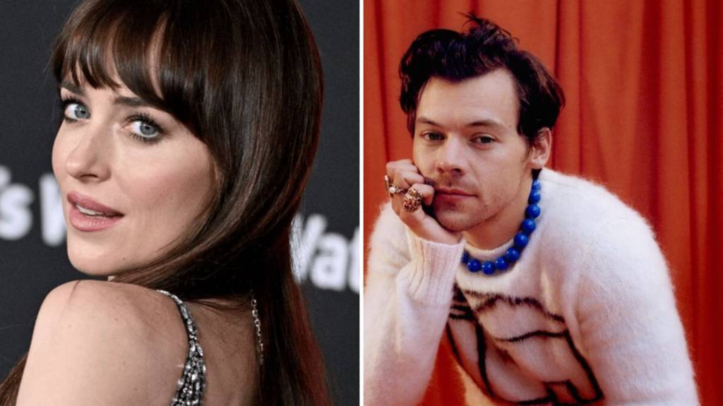 De Harry Styles a Demi Lovato: famosos que emprestam seu nome a vibradores