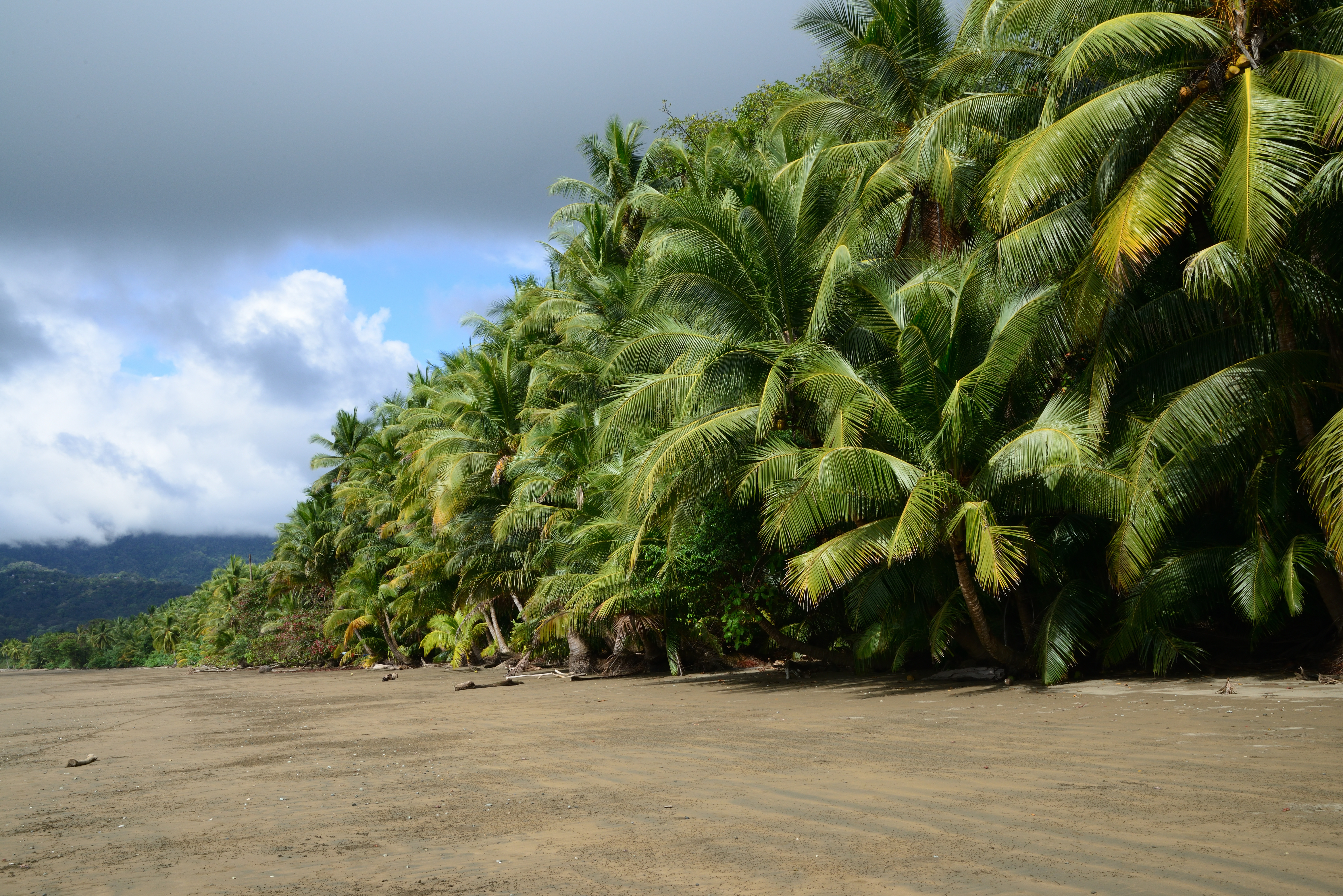 Litoral do Parque Nacional Marino Ballena, na Costa Rica